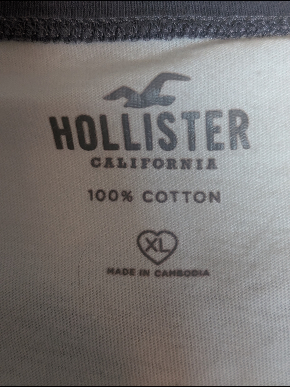 Hollister White Cropped Ringer Tee with Blue Trim and Logo - Picture 4 of 4